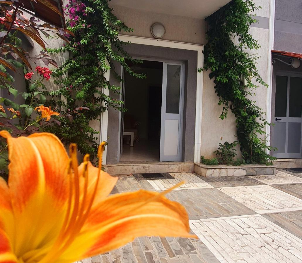טיראנה A Cheerful Villa With Free Parking Space מראה חיצוני תמונה