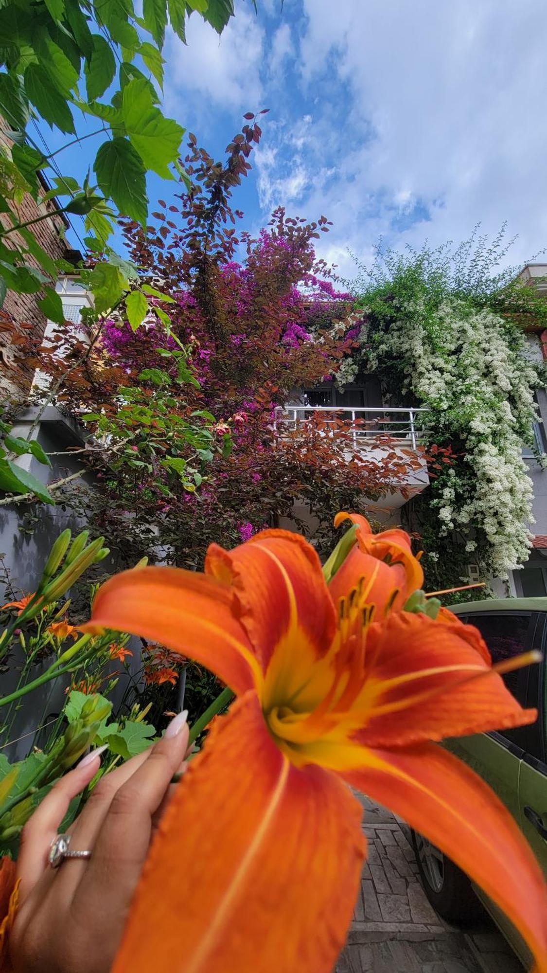 טיראנה A Cheerful Villa With Free Parking Space חדר תמונה
